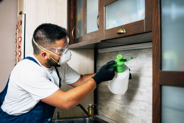 Best Pest Removal Services  in Galena, IN