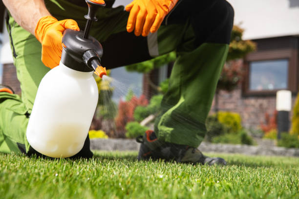 Best Best Pest Control Companies  in Galena, IN